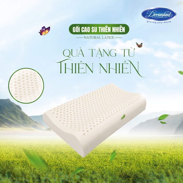 Gối cao su thiên nhiên nâng đỡ vai gáy