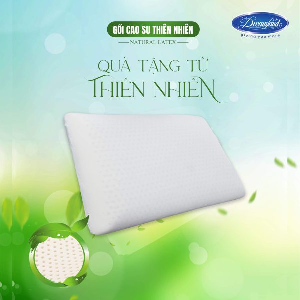 Gối cao su thiên nhiên OVAL