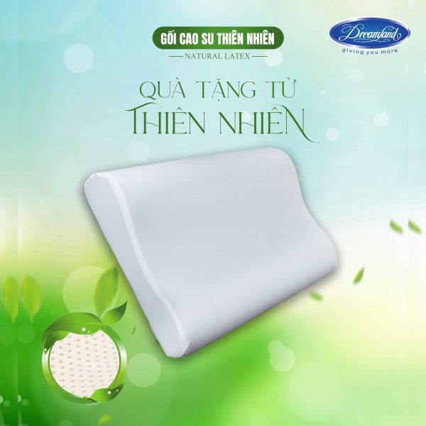 Gối cao su thiên nhiên Trẻ em