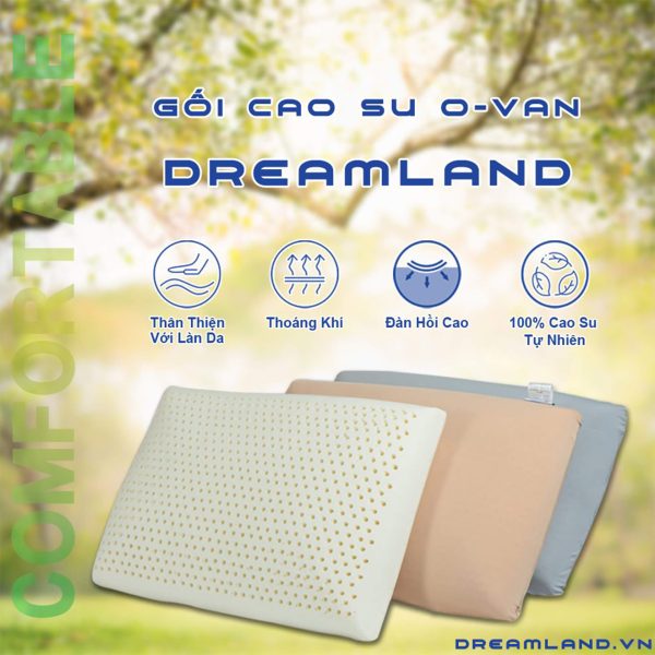 Gối cao su OVAL xuất khẩu