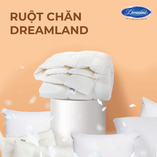Ruột chăn DREAMLAND