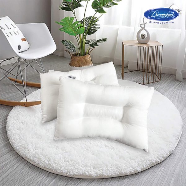 Ruột gối chống ngáy