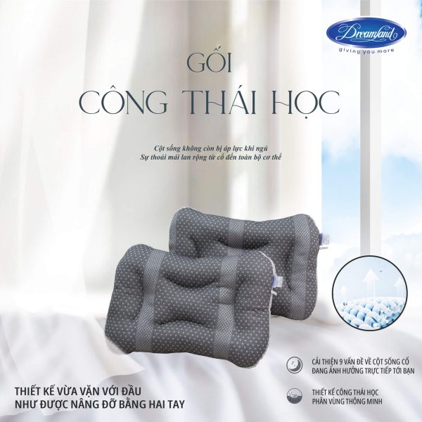 RUỘT GỐI CÔNG THÁI HỌC