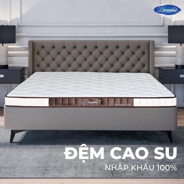 Đệm cao su nhập khẩu 100%
